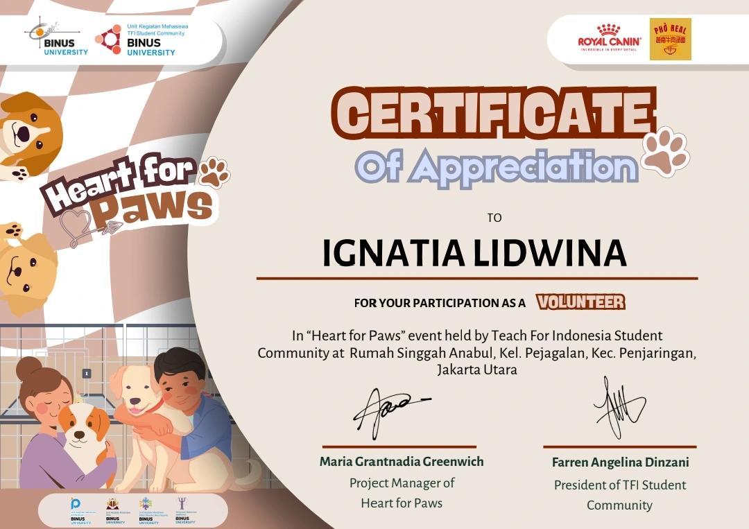 Animal shelter volunteering activity